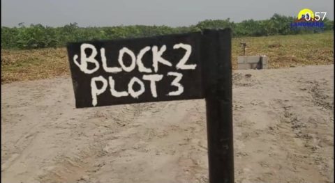 Size of a Plot